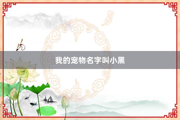 我的宠物名字叫小黑